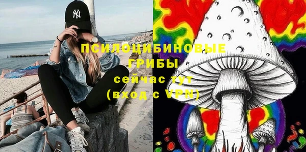 марки lsd Бородино