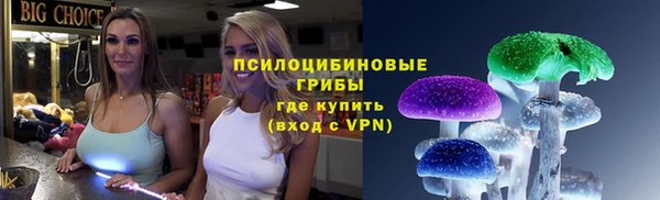 бошки Бугульма