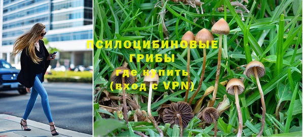 марки lsd Бородино