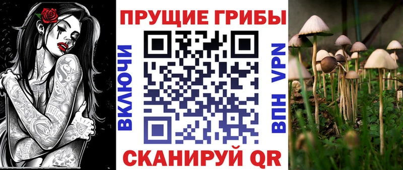 мега онион  купить наркоту  Южноуральск  Галлюциногенные грибы Psilocybe 